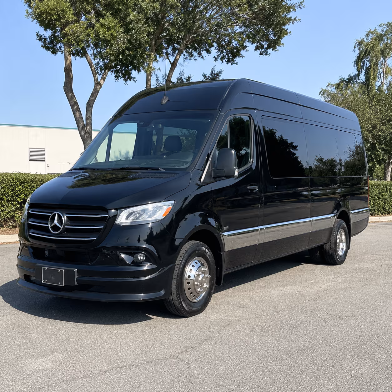 sprinter van rentals for small westland bridal parties and vip transfers
